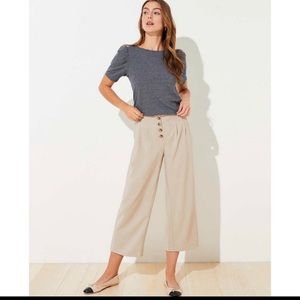 Ann Taylor Loft Wide Leg Cropped Pants 10 nwt